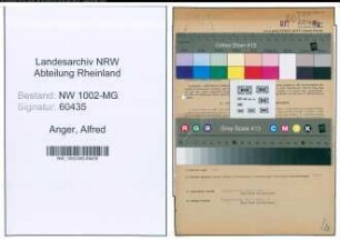 Entnazifizierung Alfred Anger , geb. 24.02.1899 (Buchhalter)