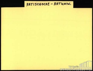 ARTISCHOCKE-ARTUMW.