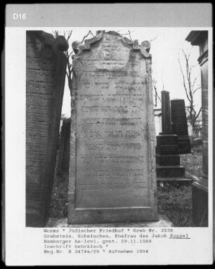 Grabstein von Scheinchen Koppel, Ehefrau des Jakob Koppel Bamberger ha-levi (+ 1888.11.29)