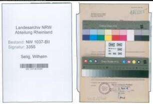 Entnazifizierung Wilhelm Selig , geb. 03.06.1906 (Angestellter)