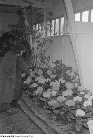 Renate Rössing vor Blumen in einem Gewächshaus