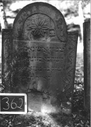 Grabstein 362 (Index: 99895771) Material: Sandstein Zustand: gut, im unteren Teil abgeblättert Maße HxBxT: 96x69x11 cm Beschreibung: Stele mit eingezogenem Rundbogenabschluss Symbolik: Blüte, Ranken: Grabstein 362