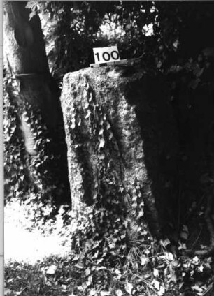 Grabstein 100 (Index: 100085539) Zustand: Schriftplatte entfernt Maße HxBxT: 120x80x45 cm Beschreibung: grob stelenhaft behauener Stein, Schriftplatte, rechteckig: Grabstein 100