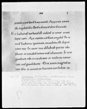 Reichenauer Evangeliar —