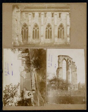 Zisterzienserkloster Walkenried, Walkenried: Kreuzgang, Gesamtanlage und Ruine der Klosterkirche