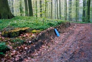 Kneeden: Grabhügel [Denkmalbuch Nr. 15]: Teilansicht: Schäden an Hügelfuß durch Waldweg, Mappe zum Größenvergleich: Bäume