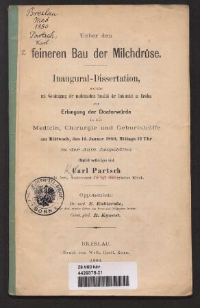 Ueber den feineren Bau der Milchdrüse
