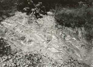 Freitalr Becken. Konglomerate, Sandsteine und Letten des Rotliegenden, gekippt, im Weißeritztal oberh. des Backofenfelsens