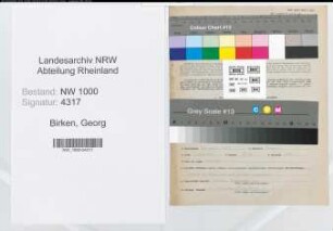 Entnazifizierung Georg Birken, geb. 25.04.1894 (Angest.)