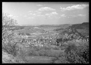 Blick über Wiesen und Wald Richtung Innenstadt mit Mainspitze, Kreuzwertheim, Maintal und Burg