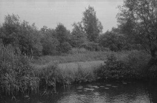 Fährhaus Rothenhusen: Ufer Ostzone