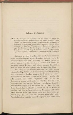 Zehnte Vorlesung.