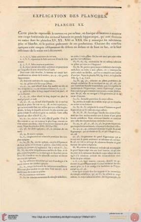 Explication des planches