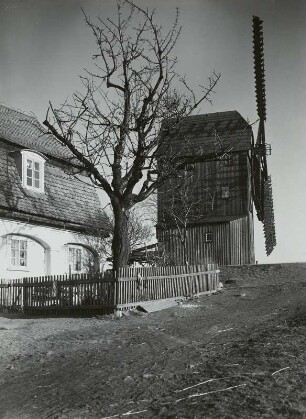 Großhennersdorf, Bockwindmühle und Umgebindehaus