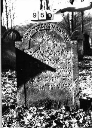 Grabstein 950 (Index: 99753146) Material: Sandstein Zustand: verwittert mit Textverlust Maße HxBxT: 100x65x7 cm Beschreibung: Stele, eingezogener Rundbogenabschluß, Schriftfeld eingetieft: Grabstein 950