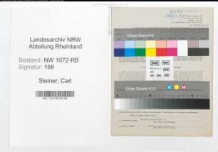 Entnazifizierung Carl Steiner , geb. 27.01.1889 (Betriebsleiter)
