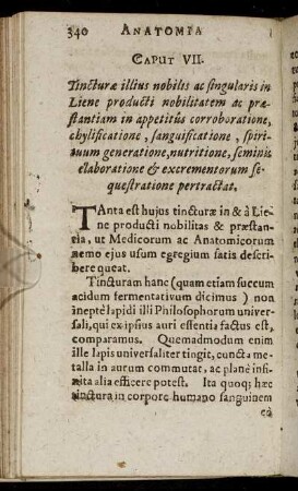 Caput VII. - Caput IX.