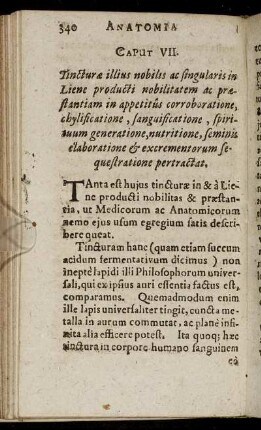 Caput VII. - Caput IX.