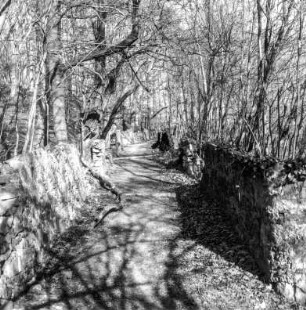 Radebeul, Graue-Presse-Weg