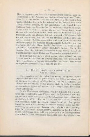 III. Die allgemeinsten anatomischen Verhältnisse.