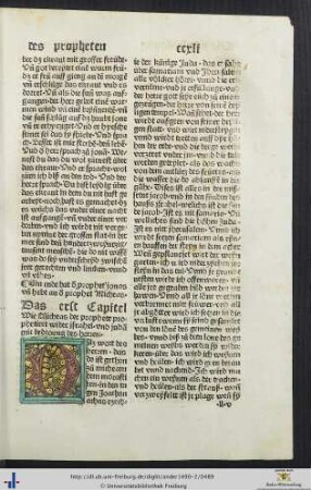 Der prophet Micheas