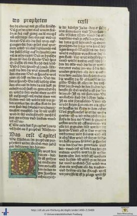 Der prophet Micheas