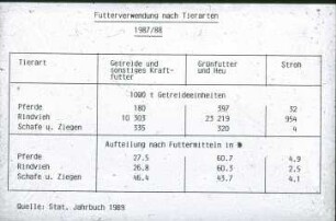 Übersicht: Pferdehaltung, Auslauf