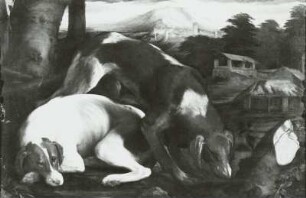 Zwei Hunde