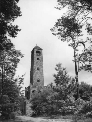 Bismarckturm : Bismarckturm auf dem Peterskopf bei Kallstadt