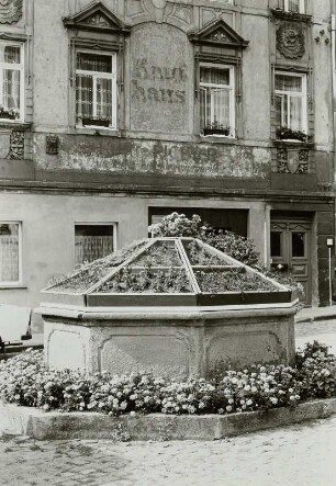Brunnen, Roßwein