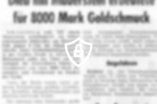 Dieb mit Mauerstein erbeutete für 8000 [Name maskiert]