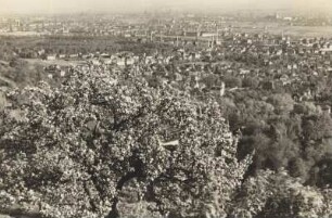Radebeul. Blick von den Lößnitzhöhen auf Radebeul und Dresden