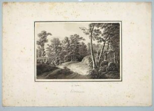 Landschaft, Wald und Weg beim Fischhaus in der Dresdner Heide nordöstlich von Dresden