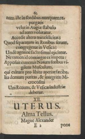 XII. Uterus.