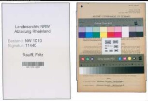 Entnazifizierung Fritz Raulff , geb. 26.08.1901 (Ingenieur)