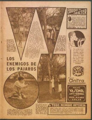 Los enemigos de los pájaros [Fotografías]