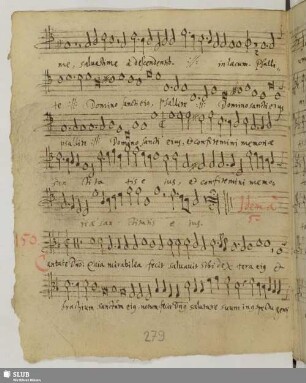 Mel, Rinaldo del: Cantate Domino canticum novum quia mirabilia fecit