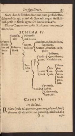 Caput. XI. De Relatis.