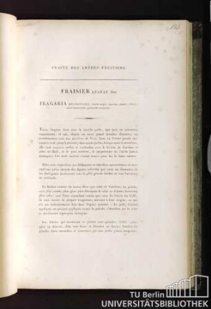 Fraisier ananas. Duh. Fragaria grandiflora, fructu magno, puniceo, nutante, foliolis, calicis basim tecto, pedonculo incrassato.
