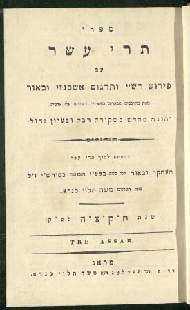 13: Sifre Tere ʿAśar : ʿim Perush Rashi ṿe-targum Ashkenazi u-veʾur