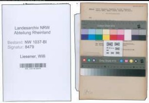 Entnazifizierung Willi Liesener , geb. 05.03.1905 (Zollsekretaer)