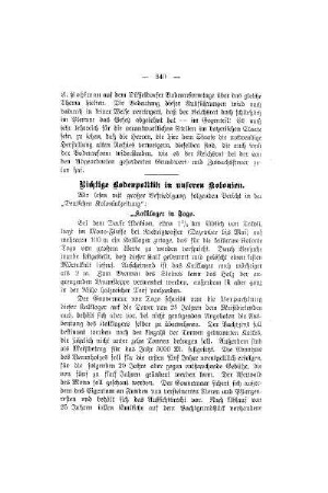 Richtige Bodenpolitik in unseren Kolonien