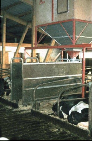 Fotografie: Liegeboxenlaufstall, Abrufstation