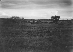Savanne : Vegetation einer Savannenlandschaft in Kenia