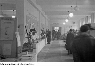 Blick in die Ausstellungsräume