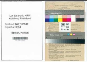 Entnazifizierung Herbert Borsch , geb. 23.02.1913 (Angestellter)
