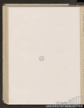 Glockenblume (Campanula macrantha)