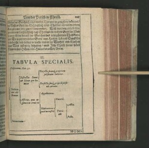 II. Tabvla Specialis