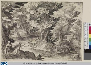 Waldlandschaft mit einer vor einem Satyr fliehenden jungen Frau