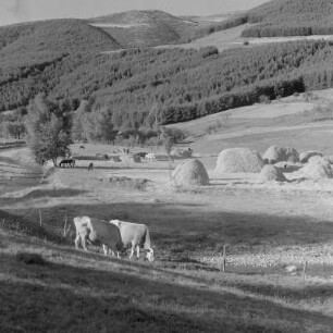 Ländliche Gegend bei Kopriwschtiza im zentralen Teil des Sredna-Gora-Gebirges